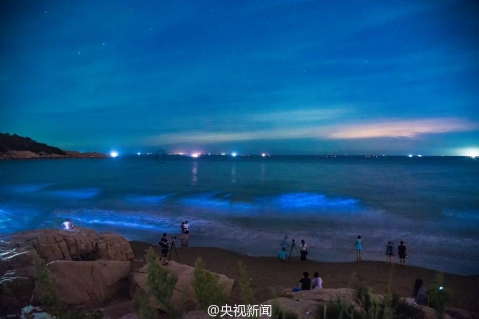 废品机械师